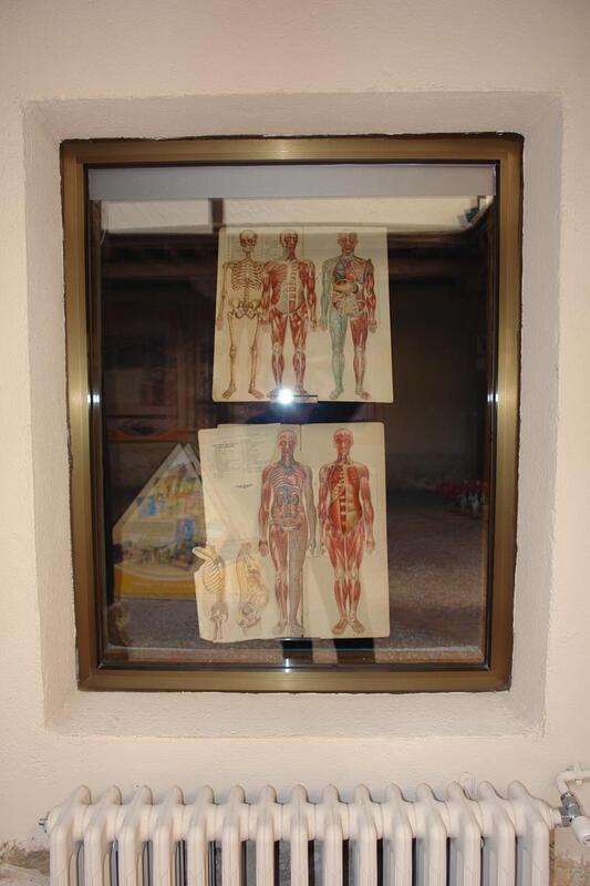 Anatomas con piezas desmontables de hombre y mujer